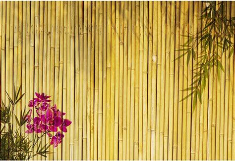 Top 89 Imagen Bamboo Background Hd Vn