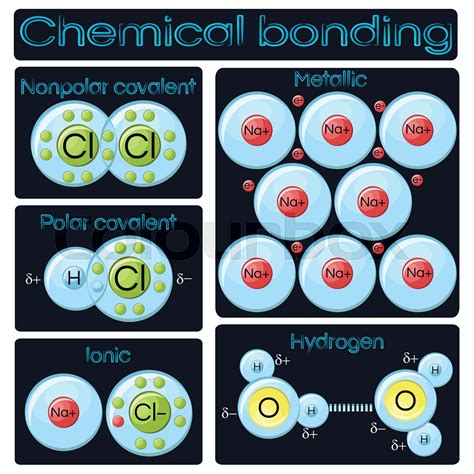 Types Of Chemical Bonding Stock Vector Colourbox