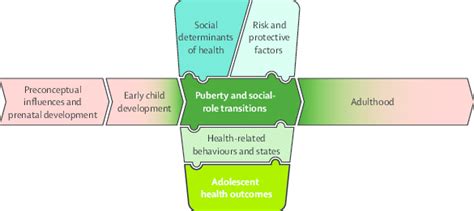 Conceptual Framework For Adolescent Health The Framework Emphasises The Download Scientific