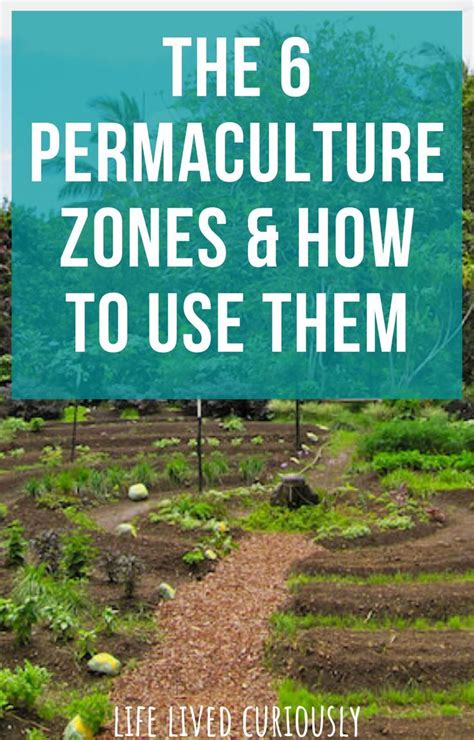 The 6 Permaculture Zones And How To Use Them In 2022 Permaculture Permaculture Principles