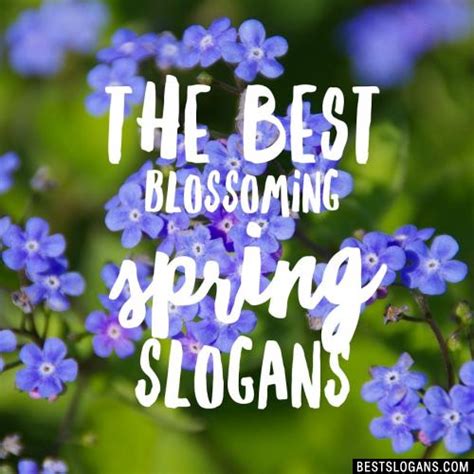 30 Catchy Spring Slogans And Marketing Ideas 2021