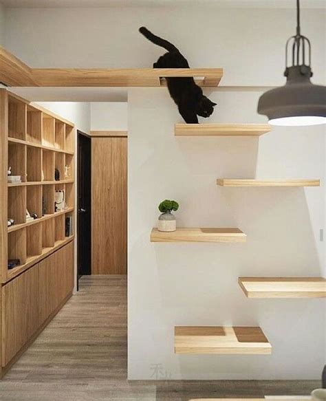 35 Adorable Cat House Pets Design Ideas Browsyouroom Cat Wall