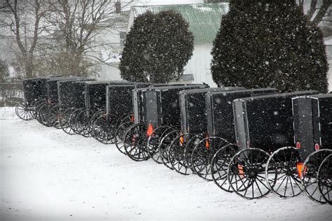 Beyond Buggies An Amish Country Christmas Compassohio