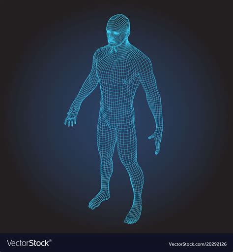 3d Wire Frame Human Body Full Face Royalty Free Vector Image