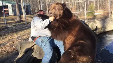 Watch This Man Pal Around With A 1400 Pound Kodiak Bear Abc7 San