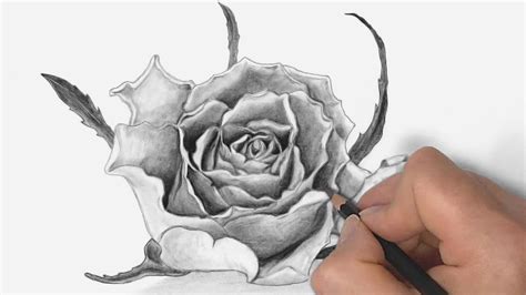 How To Draw A Rose With Pencil Drawing Time Lapse Youtube