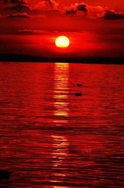 Rojo Atardecer Beautiful World Beautiful Pictures Red Pictures