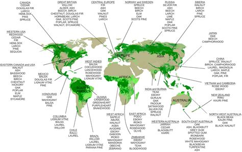 World Map Showing The Distribution Of Forests And Woodlands With The