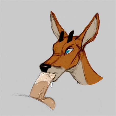 Rule 34 Ambiguous Gender Animated Balls Cervine Deer Erection Fellatio Fellatio From Feral