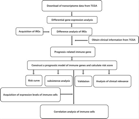 Frontiers Prognostic Model Of Immune Related Genes For Patients With