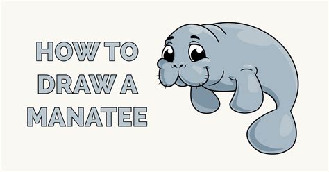 How To Draw A Manatee Easy At How To Draw
