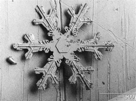 The Science Of Snowflakes Are Two Snowflakes The Same Science Features