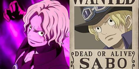 One Piece Sabos New Bounty After Reverie Explained