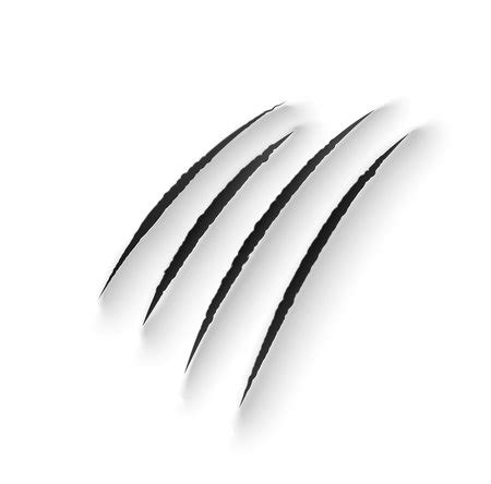 Vector Of Tiger Claw Marks Scratches ID 168898283 Royalty Free