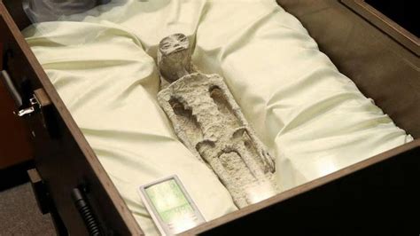 6 Potret Mayat Alien Di Kongres Meksiko Struktur Anatomisnya Jadi
