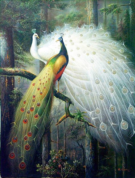 Peacock Oil Painting At Explore Collection Of