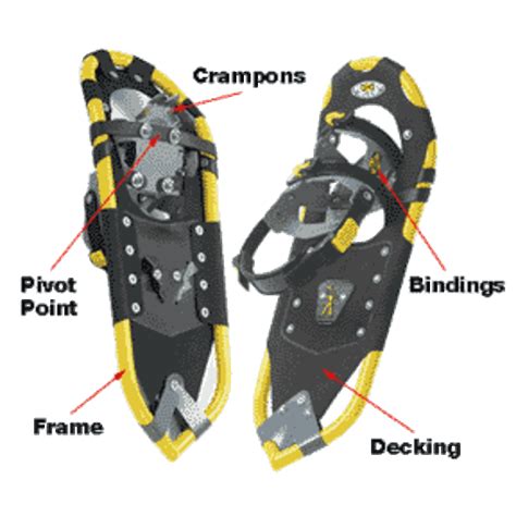 Anatomy Of A Snowshoe Snow Shoes Calf Strain Heel Lifts