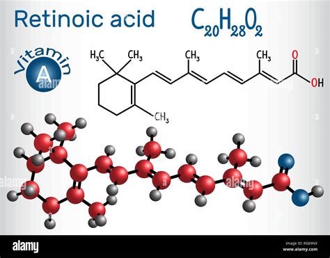 El ácido Retinoico Es Un Metabolito De La Vitamina A Retinol