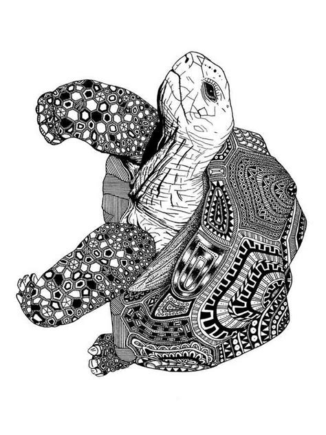 Turtle Coloring Pages Hard Coloring Page