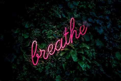 breath vs breathe what s the difference ranking articles