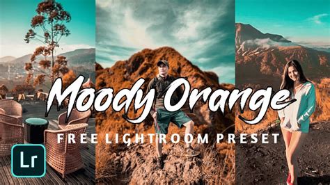 Orange and teal lightroom presets photoshop actions on behance. lightroom mobile presets free dng | Moody Orange tone ...