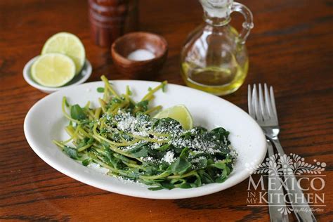 We did not find results for: Steamed Purslane Recipe | Easy, quick and beneficial for you!
