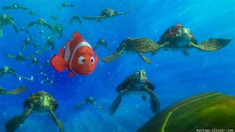 Finding Nemo There Are 37 Trillion Fish In The Ocean