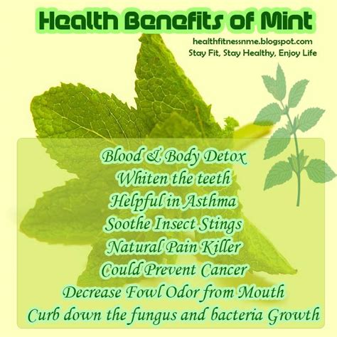 Health Benefits Of Mint Leafs