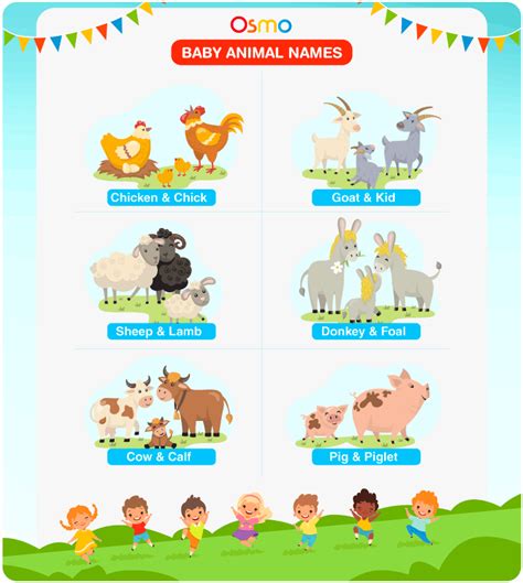 Top 175 All Animals Baby Name In English