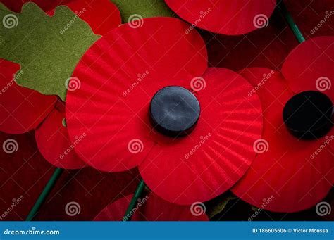 Remembrance Day In The Uk And Salute To Veterans Of The Armed Forces