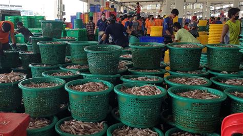 ตลาดทะเลไทย เข้ม นำเข้าสัตว์น้ำจากพม่า ต้องมีเอกสารรับรอง หวั่นโควิด - ข่าวสด