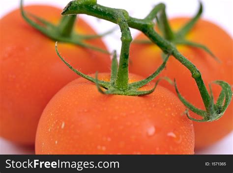 4 Tomatoes Ii Free Stock Photos Stockfreeimages