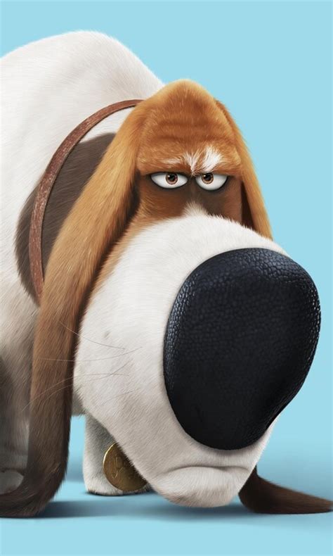 Max is a sweet little dog who lives in new york with his mistress katie, who loves you very much. 480x800 Pops The Secret Life Of Pets Galaxy Note,HTC ...