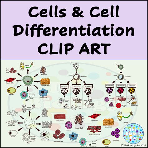 Differentiated Instruction 1111 Clip Art Library