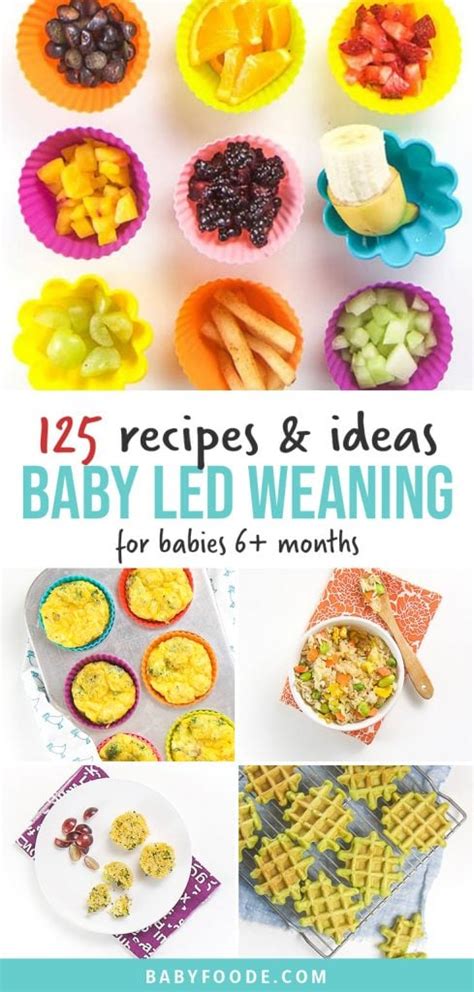 125 Baby Led Weaning Foods Starter Recipe Ideas Baby Foode