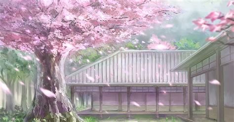 Cherry Blossom Tree Wallpaper Anime 21 1080p Anime Sakura Wallpaper