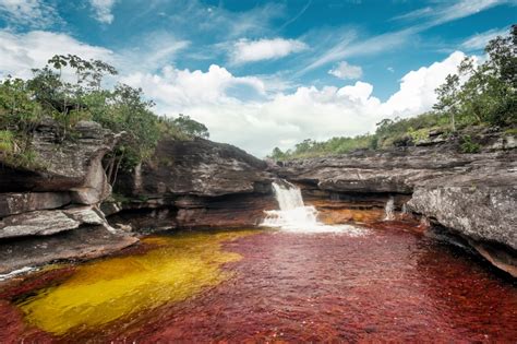 Visitare Caño Cristales Il Fiume Più Colorato Al Mondo Scomfort Zone