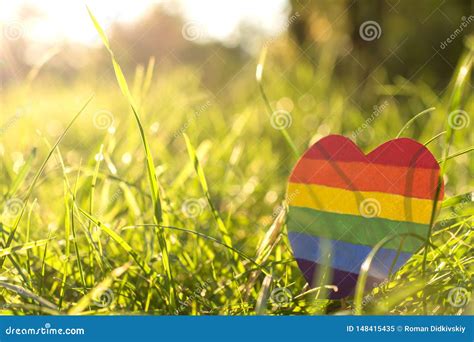 lgbtq concept voor biseksuele lesbienne vrolijk transsexueel stock afbeelding image of