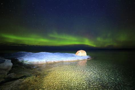 Aurora Borealis At Lake Superior Shore Photograph By Alex Nikitsin