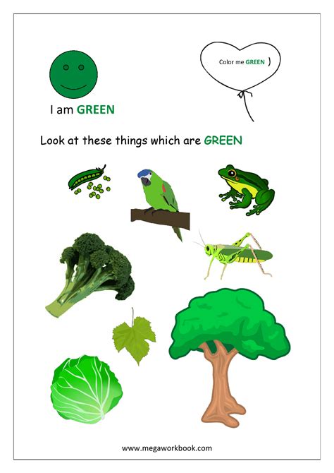 Pictures Of Green Colour Things Draw Internet