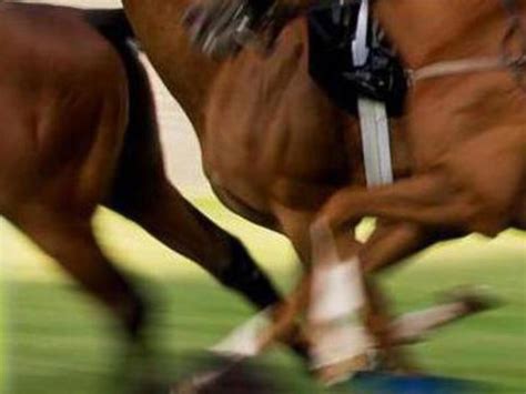 Reiterin 21 Stürzt Von Pferd Schwere Verletzungen Im Gesicht
