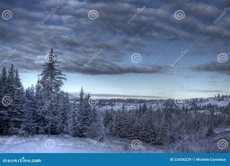 Winter Scene With Moody Skies Stock Image Image Of Winter Blue 22436229