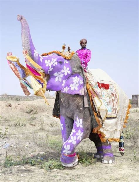 Indian Man Turns Elephants Into Art Barnorama