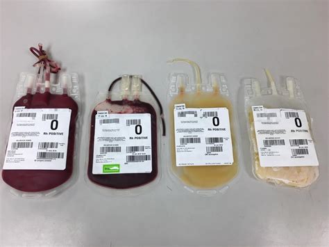 Blood Processing Hong Kong Red Cross Blood Transfusion Service