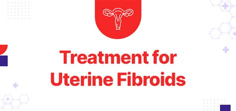 Treatment Options For Uterine Fibroids In Gurugram Cost Risk Factors And Symptoms