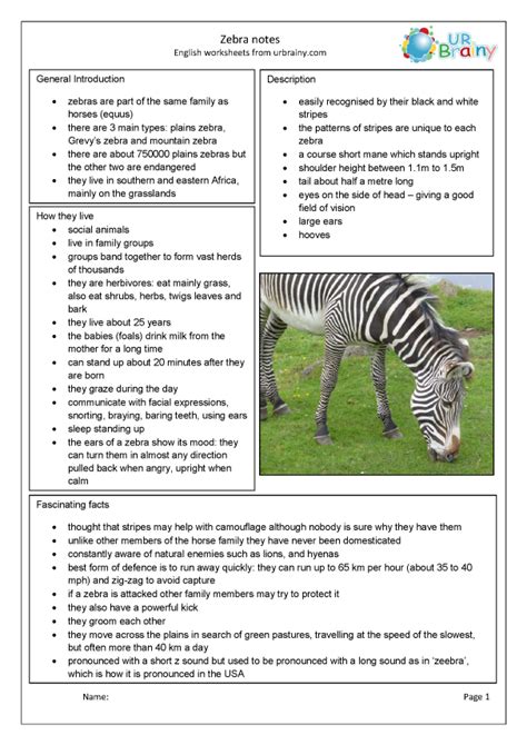 Zoo Animals Zebras Factual Writing Upper Key Stage 2 For Vocabulary