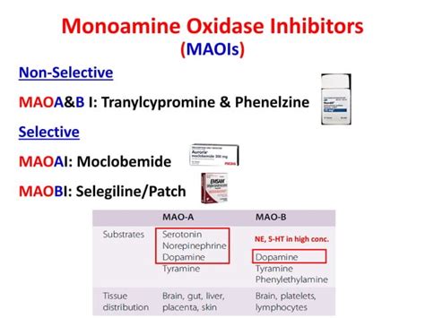 Monoamine Oxidase Inhibitors Maois