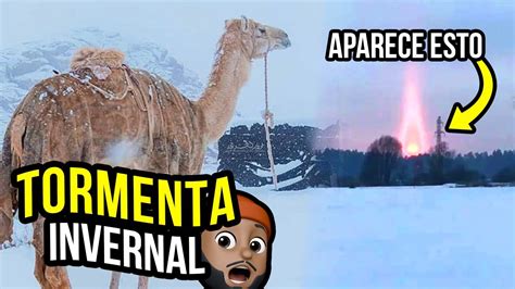 Al menos 13 ciudades del estado brasileño de rio grande do sul quedaron este miércoles envueltas en nieve por una ola de aire polar que atraviesa el sur del país, según informan medios locales. No creerás donde cae nieve ahora! Se aproxima una tormenta ...