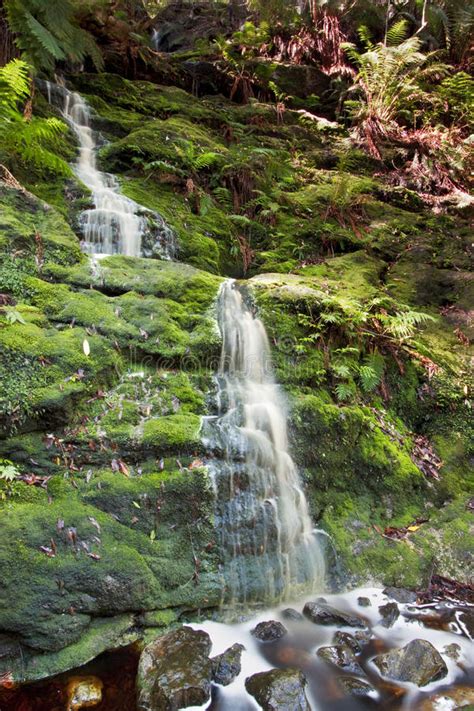 Waterfall In The Woods Stock Photo Image Of Green Rocks 13491186