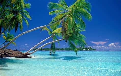 Fond d écran paysage mer baie eau la nature rive ciel plage côte palmiers tropical